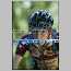 grg_fxgutton_160_120.jpg