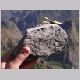 DSCN4377.html