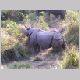 DSCN4770.html