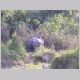 DSCN4774.html